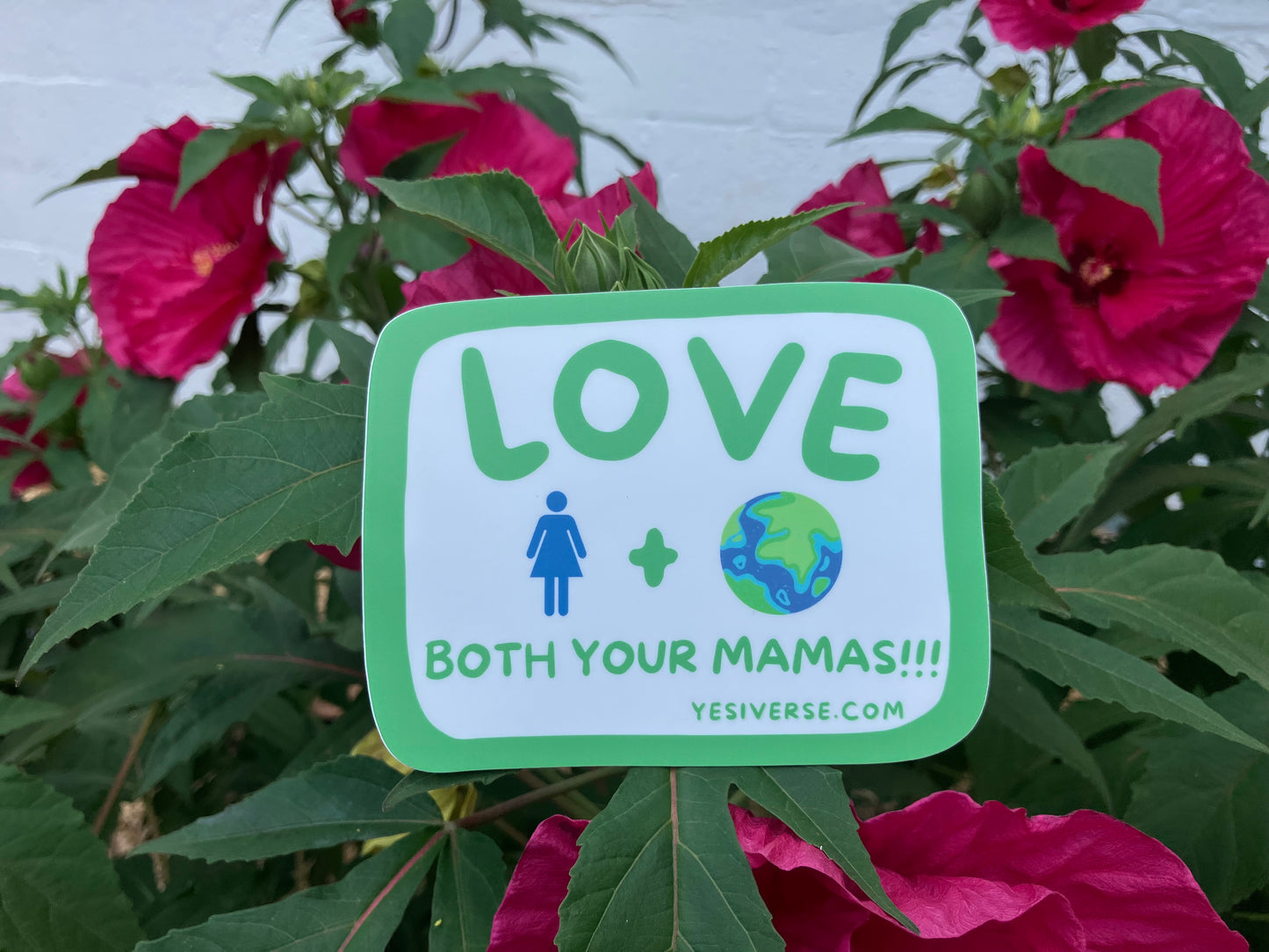 LOVE BOTH YOUR MAMAS!!!